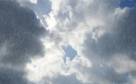 Overcast Morning Leads to Rainy Afternoon; More Showers Expected Tomorrow