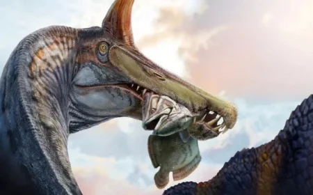 New Spinosaurus Discovery Revives Historic Debate