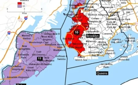 Supreme Court Upholds Democrat-Friendly Redistricting on Staten Island