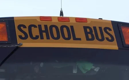 Eastern Ontario School Buses Cancelled, Ottawa Remains Operational