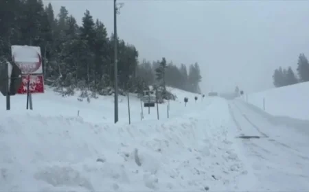 Six Mothers Identified as Victims in Deadly Lake Tahoe Avalanche