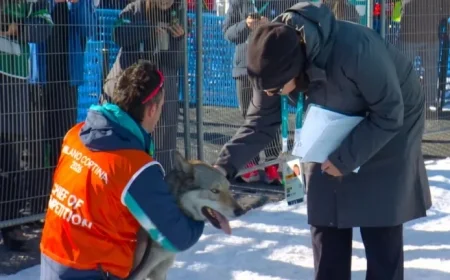 Local Dog Steals Spotlight by Crashing Olympic Event