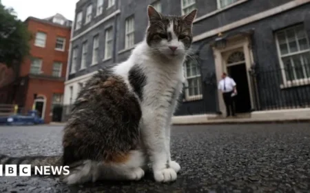 Larry the Cat Celebrates 15 Years as No. 10’s Chief Mouser