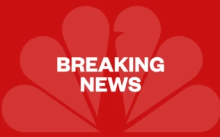 La Sagrada Familia Reaches New Heights: Completes Its Tallest Tower at 172.5 Meters