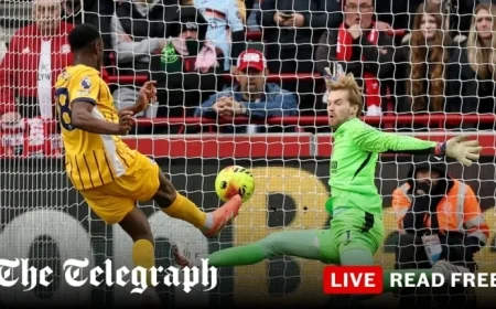 Live Premier League Scores and Updates from 3 PM Matches