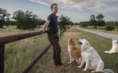 Did James Van Der Beek Actually Die Penniless?