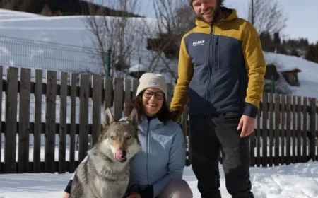 Nazgul the Wolfdog Escapes for Winter Adventure: NPR