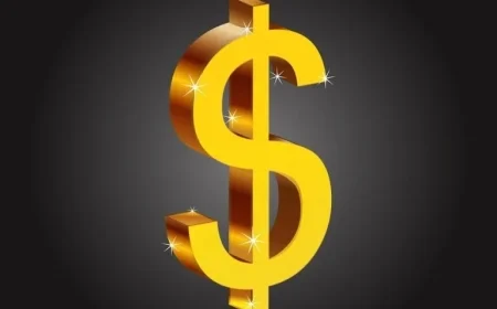 US Nearing Fiscal Cliff: Tracking the Disappearance of Funds