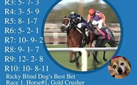 Watch Live Turf Paradise Races on IHipica TV