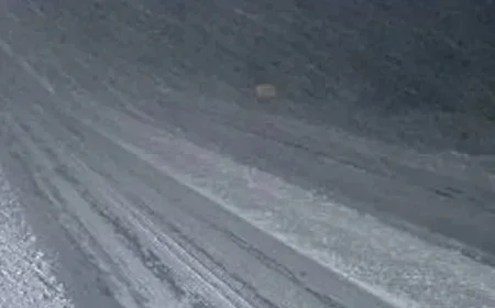 Avalon Faces Renewed Burials Amid High Winds and Major Disruptions