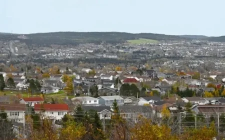 NL Population Declines in Fourth Quarter