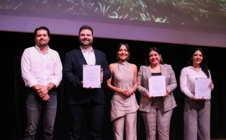 Playa del Carmen Secures Over 1 Billion Pesos in Real Estate Investment