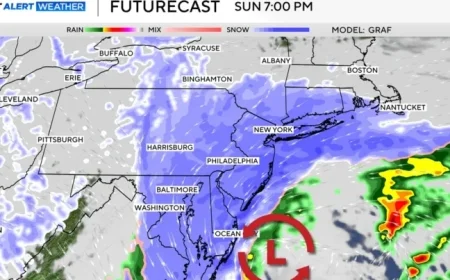 Nor’easter Triggers NYC, Tri-State Travel Bans Ahead of Blizzard Conditions