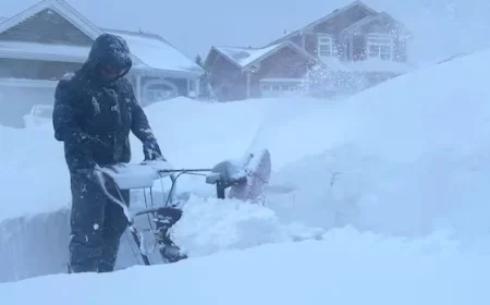 Avalon Peninsula Snowstorm Halts Metrobus Services on Monday