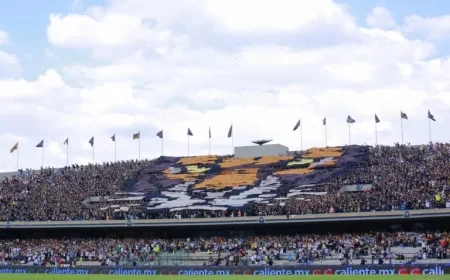 Will Pumas vs. Monterrey Proceed Amidst National Conflicts?