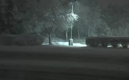 Blizzard 2026: Philadelphia, NJ, Delaware Snowfall Totals Revealed