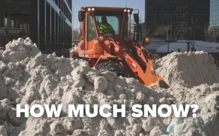 Winter Blizzard 2/22/26: Snowfall Totals for NYC, NY, NJ, CT