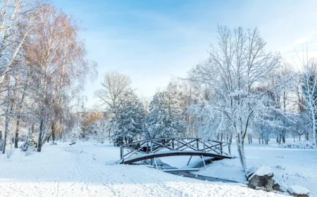 Governor Lamont Advises Connecticut to Prepare for Blizzard Sunday Night, Monday Morning