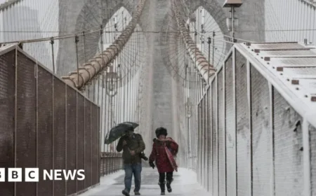 Winter Storm Hits Northeast US, NYC Enforces Travel Ban