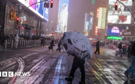 Blizzard Grounds Flights Across US, Halts New York City Travel