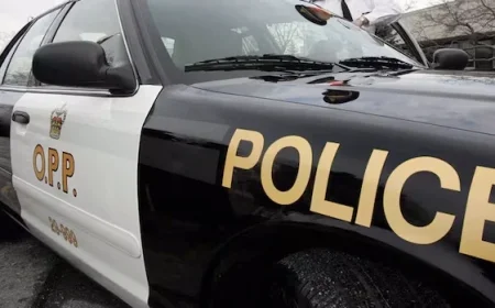 Bus Crash Disrupts Traffic on Highway 401 Near Napanee, Ontario
