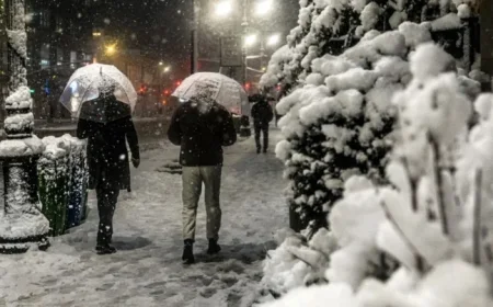 Blizzard Warnings Hit Northeast: Heavy Snow and Winds Disrupt Travel