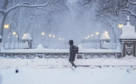 Northeast Snowstorm Triggers Travel Bans, Cancels Thousands of Flights