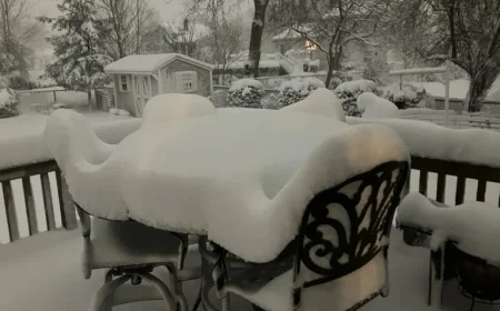 N.J. Blizzard: Snow Totals Reach 24 Inches in Some Towns