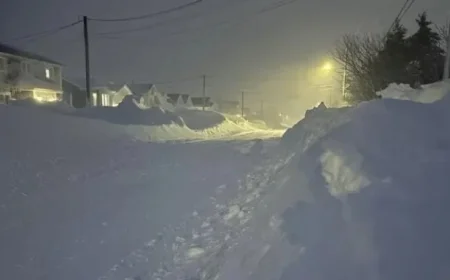 Metro Dig-Out Closes Businesses, Services; Non-Essential Travel Discouraged