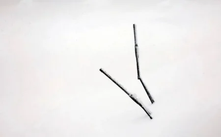 February 23, 2026: Snowfall Totals by Massachusetts Towns