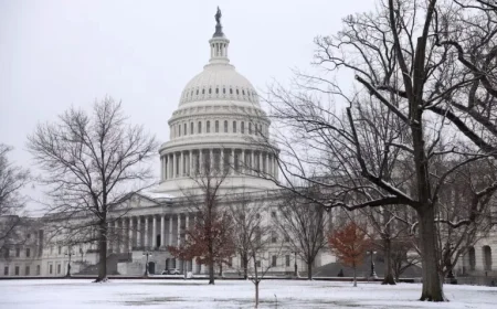D.C. Snowstorm Strikes Select Areas, Spares Others: Full Report
