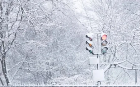 Record-Breaking ’26 Snowstorm: Boston Area Snowfall Totals Revealed