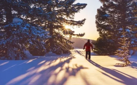 Private Equity Projections 2026: Building Momentum