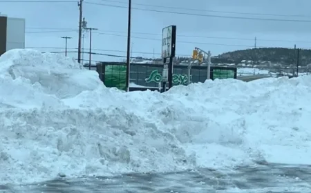 Metro Schools Closed Tuesday