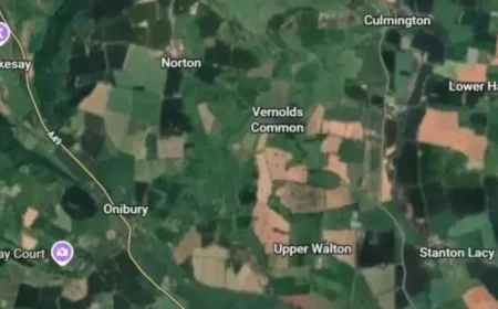 South Shropshire Transformed by 22 MW Solar Farm Development