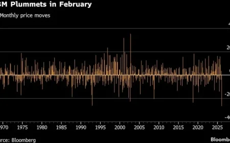 Investors Abandon Software Stocks Despite Earnings Reports