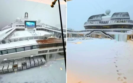 Photos Capture Cruise Ships Trapped at Port Amid Record Blizzard