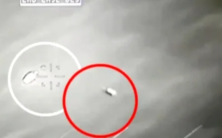 Scientists Reveal Insights from Government UFO Files