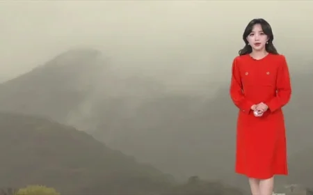 Dense Fog Advisory Issued Until Tomorrow Morning