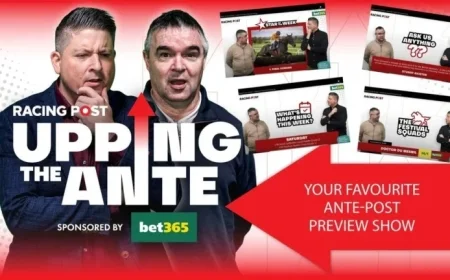 Johnny Dineen Backs Underdog Horse Over Supreme Favorites