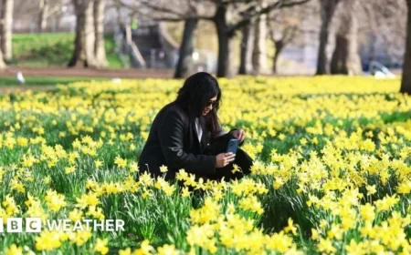 UK Experiences Warmest Day of Year as Temperatures Surpass 18°C
