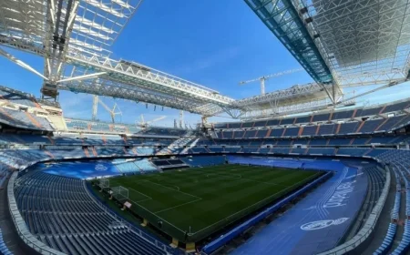 Real Fans Plan Anti-Racism Mural for Benfica Match After Vini Jr. Incident