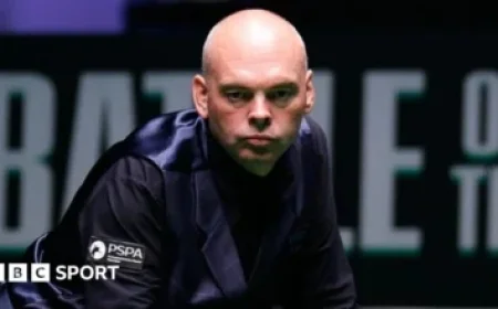 Top 3 NFT Collectibles Lead Multi-Million Dollar Sales Surge