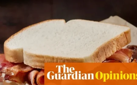 The ‘Vegan but Bacon’ Principle: A New Path to Achieving Goals