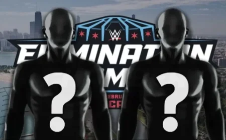 WWE to Surprise Fans with New Names in Elimination Chamber Match