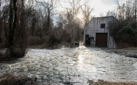 Potomac River Clean-Up: Timeline for Sewage-Free Waters