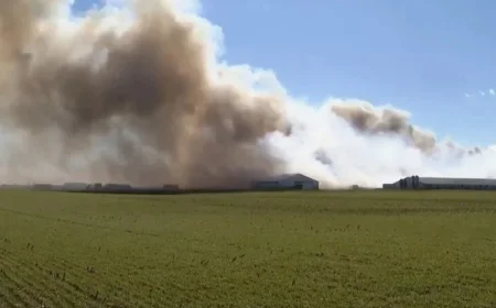 Ohio Farm Fire Claims Lives of 6,000 Hogs