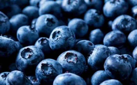 55,000 Pounds of Blueberries Recalled Due to Fatal Listeria Risk