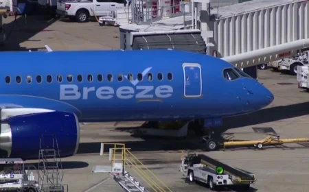 Budget Airlines Unveil New Deals for Tampa Bay Travelers