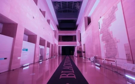 BLACKPINK Colors Korea’s Flagship Museum Pink for ‘DEADLINE’ Comeback